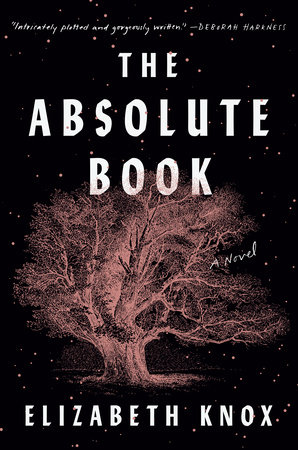 The Absolute Book by Elizabeth Knox book cover