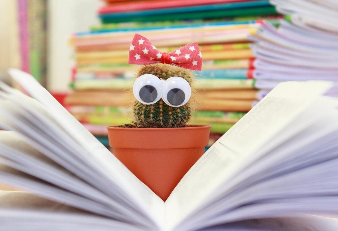 Potted cactus plant with a hair bow and googley eyes so it looks like the plant is reading an open book in front of it.