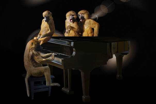 Baboons playing piano and singing music